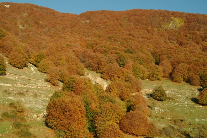 Escursione nel P.N. d''Abruzzo